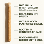 Mizwak stick