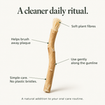 Mizwak stick