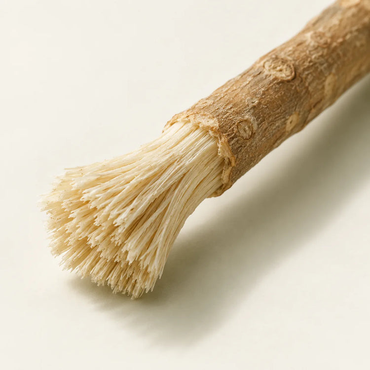 A brush made from nature